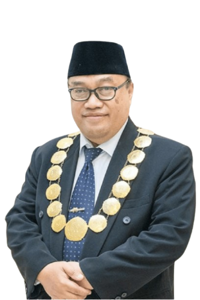 Prof. Drs. H. Junaidi, M.Pd., Ph.D.